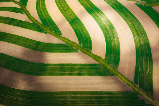 Aerial view of agricultural fields with alternating green and brown soil strips in the landscape of Brno, South Moravian Region, Czechia.