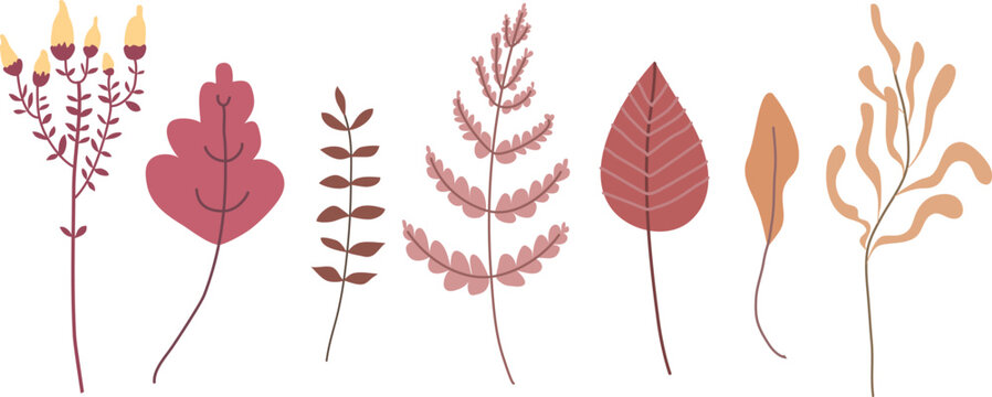 Cartoon foliage, floral set of pink, orange, brown, burgundy and gray autumn leaves, branches, twigs. Botanical fall clip art.