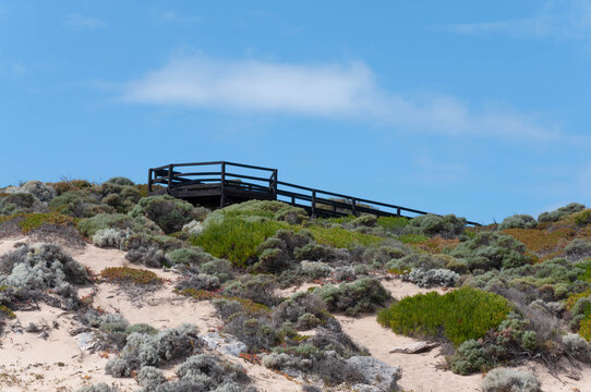 Wooden boardwalk crossing sandy coastal dunes with native shrubs under a blue sky in Western Australia