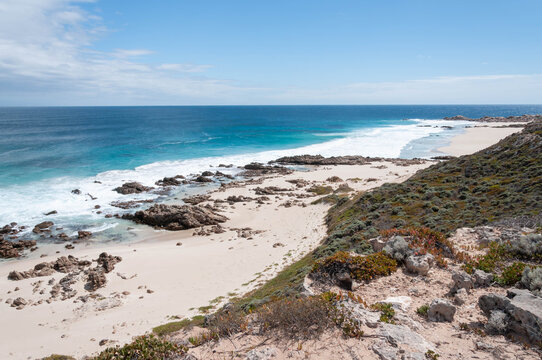 Rugged coastline with pale sand and native coastal shrubs