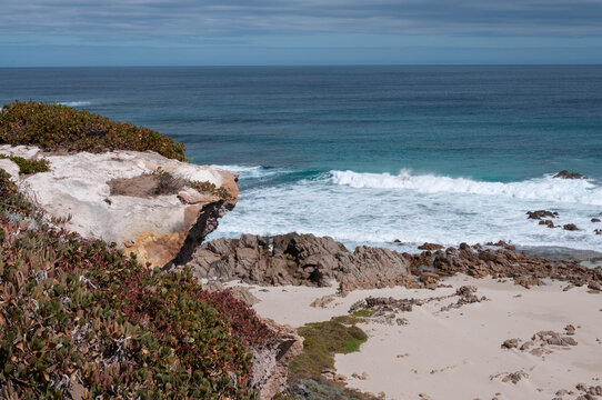 Native groundcover frames a rugged shoreline with pale sand, dark rocks and rolling ocean waves