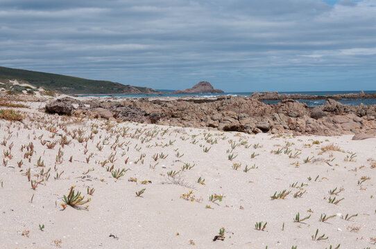Sandy beach and rugged rock formations overlooking the Indian Ocean in Western Australia
