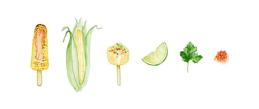 Set of six hand-drawn watercolor food illustrations featuring corn, lime, and herbs.