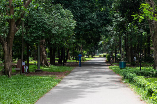 Dhaka, Bangladesh - 26 May 2024: View of Ramna Park with a paved walkway lined by lush trees, green lawns, and people relaxing in the shade.