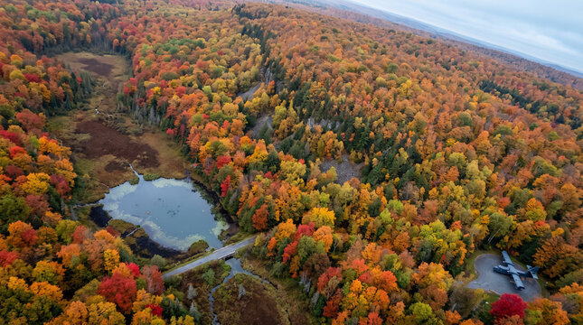 Aerial view of autumn forest with colorful trees and a serene pond  