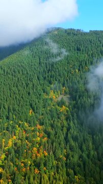 Aerial view of colourful forest on mountain slopes and cloudy sky. Canada