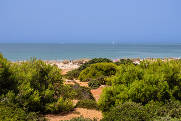 La Barrosa beach in Sancti Petri, Cadiz, Spain, in august 2026 © josevgluis