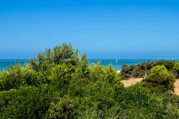 La Barrosa beach in Sancti Petri, Cadiz, Spain, in august 2026 © josevgluis