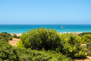 La Barrosa beach in Sancti Petri, Cadiz, Spain, in august 2026 © josevgluis