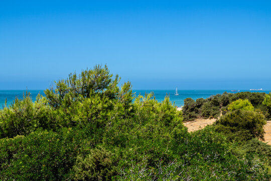 La Barrosa beach in Sancti Petri, Cadiz, Spain, in august 2026