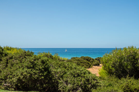 La Barrosa beach in Sancti Petri, Cadiz, Spain, in august 2026