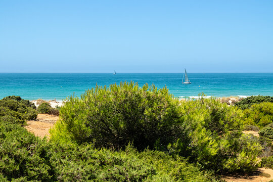 La Barrosa beach in Sancti Petri, Cadiz, Spain, in august 2026