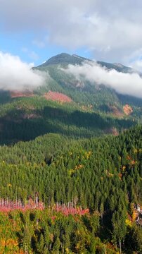 Aerial view of colourful forest on mountain slopes and cloudy sky. Canada