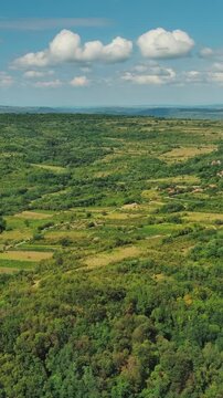 Aerial view of old rustic vintage houses with wine cellars in Rogljevacke pivnice in Negotin region of Serbia. Vertical video 4k