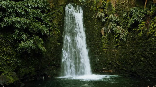 Salto do prego waterfall streaming down a lush green rainforest wall in the azores