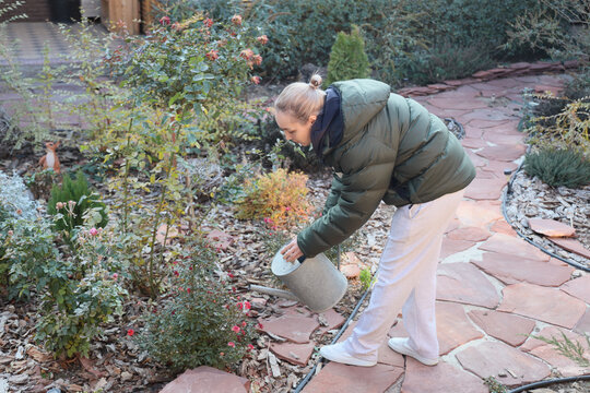 Woman In Green Jacket And Light Pants Bends Over Flower Beds While Watering Shrubs And Small Plants Beside Curved Stone Path In Landscaped Backyard Garden With Soft Natural Daylight
