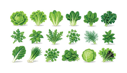 Naklejka premium Assortment of fresh green leafy vegetables and herbs on a white background