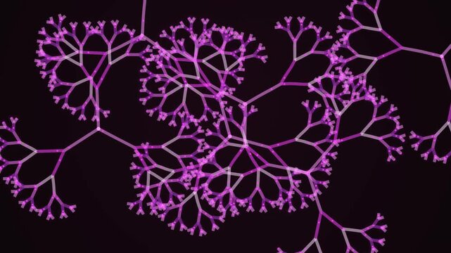 Purple fractal tree network growing on dark background, digital branching structure motion.