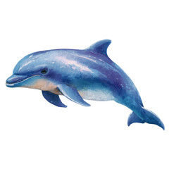 Obraz premium Porpoise, isolated watercolor element on white background
