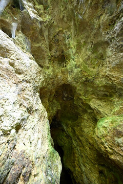 Le grotte del Piano di Mommio. Buca delle Fate - Parco Archeologico Preistorico - Buca del Capriolo - Buca della Iena - Buca di Fondineto - Buca delle Fate Nord - Buca delle Fate sud