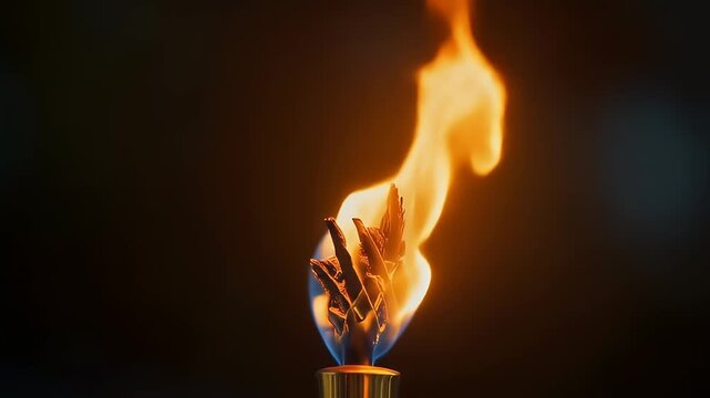 A triptych showcases a close-up view of a flame engulfing a bundle of dry plant material against a dark background, with the flames exhibiting dynamic, fluid shapes.