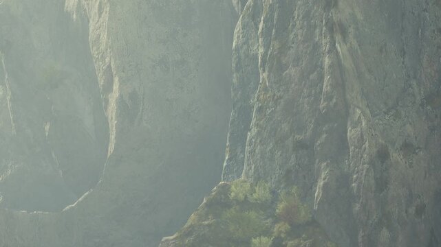 The scene shows tall mountains and rugged cliffs enveloped in mist. Green shrubs peek out from the rocky surfaces. The location appears to be a remote natural area, likely in the morning.
