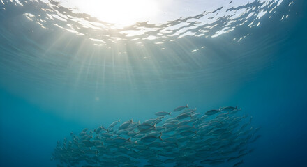 Fototapeta premium School of fish swimming underwater with sun rays