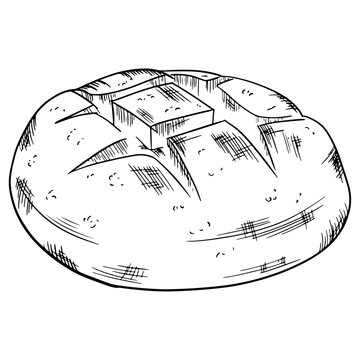 vector illustration of a globe