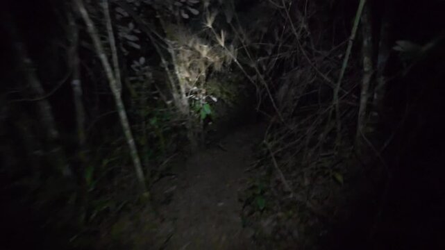 POV Trail Mountain Running Adventure Fastpacking Serra Fina Brazil Point of View Athlete Outdoor Sports Endurance Hiking Trekking Wilderness Mountains Minas Gerais S&atilde;o Paulo South America