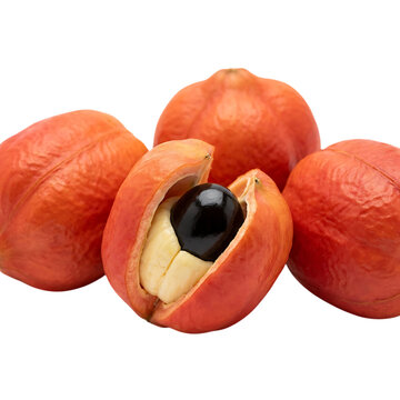 Fresh ackee fruits with red pods and black seeds, tropical jamaican food ingredient, isolated on a white background, studio of exotic fruit isolated on a transparent background