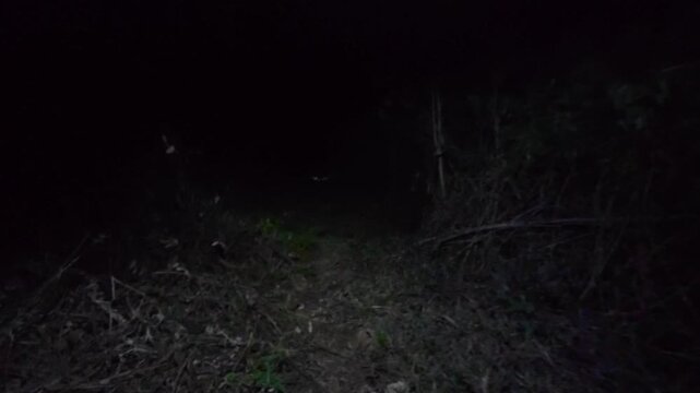 POV Trail Mountain Running Adventure Fastpacking Serra Fina Brazil Point of View Athlete Outdoor Sports Endurance Hiking Trekking Wilderness Mountains Minas Gerais S&atilde;o Paulo South America