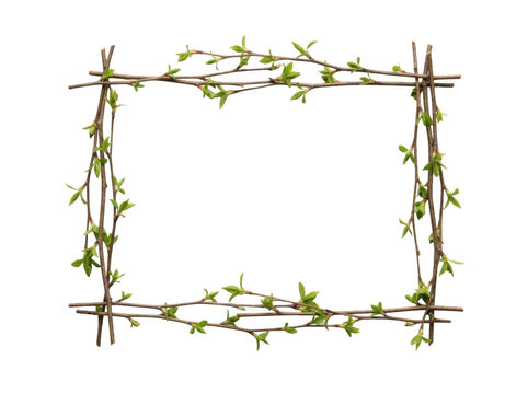 Rectangular frame made of thin tree branches with fresh green spring leaves isolated on transparent background