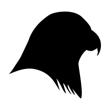 Eagle head profile vector silhouette and hawk mascot icon