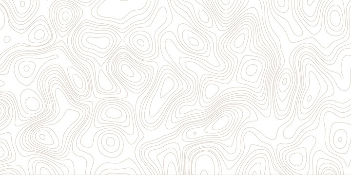 Abstract Light Beige Topographic Line Map Pattern Background .