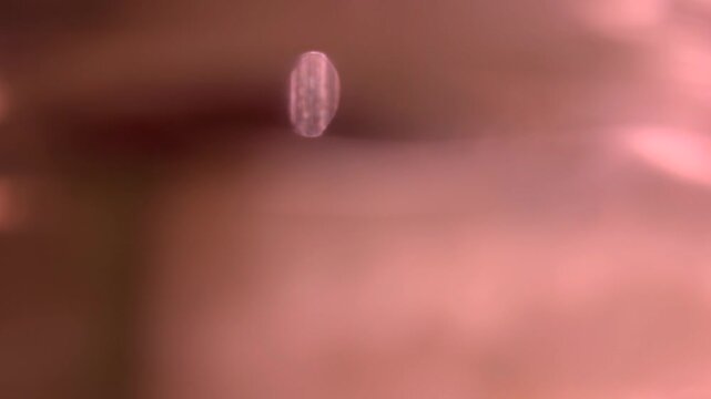 Abstract warm pink light leak creating a soft bokeh effect and elegant flare overlay for motion graphics, a dreamy and ethereal background with shimmering particles
