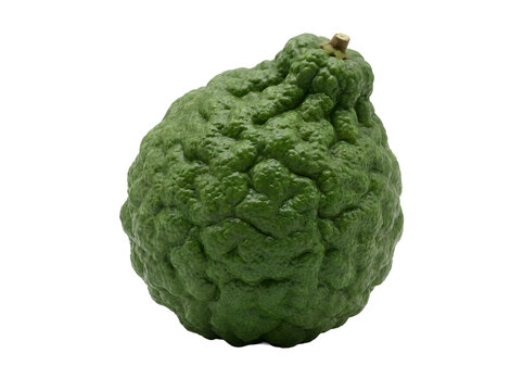 Fresh kaffir lime fruit isolated on transparent background