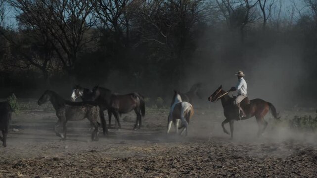 Rider on horseback herds a dusty band of horses through scrubland