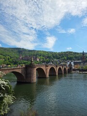 The Old Bridge over the Neckar river with Heidelberg Castle on the wooded hillside behind, Germany © Nicole