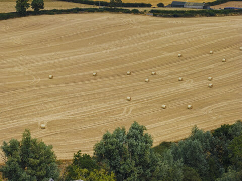 Aerial view of a harvested golden wheat field with scattered hay bales and tire tracks, bordered by lush green trees and farm buildings in County Kilkenny, Ireland.