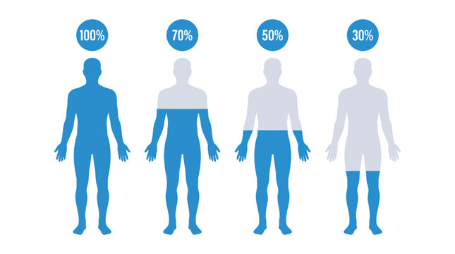 Human body water percentage levels infographic
