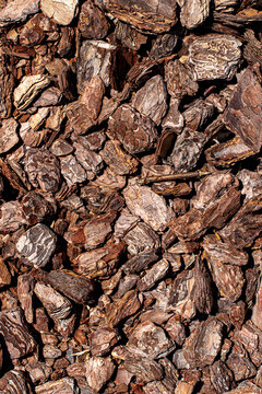 Wood chips macro. Pine bark mulch. Tree bark background. Brown timber pieces. Organic ground cover. Garden mulch texture. Shredded bark pattern. Natural wood fragments. Landscaping bark backdrop