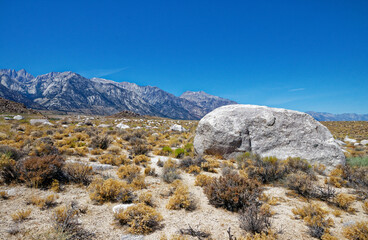 Giant Granite Boulder in the Eastern Sierra Desert © MarekLuthardt