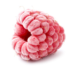 One frozen red raspberry isolated on white © New Africa