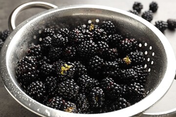 Ripe blackberries in colander on grey table, closeup © New Africa