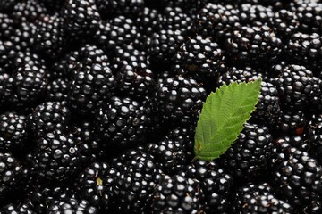 Heap of ripe tasty blackberries and leaf as background, closeup © New Africa