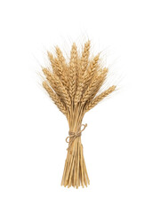 Fototapeta premium Sheaf Of Wheat Tied With Twine For Harvest And Baking Ingredient