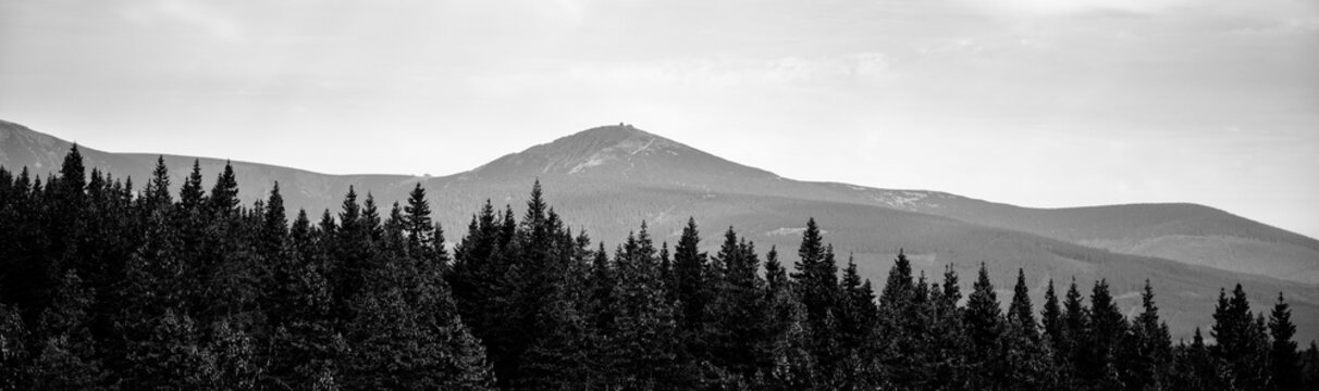Snezka Mountain stands as the highest peak in Czechia. The view shows the mountain rising above a thick forest. The scenery highlights the natural beauty of the landscape.