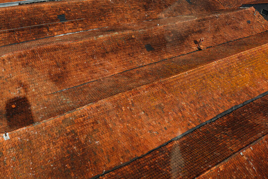 Traditional Terracotta Tile Roofs in Porto, Portugal