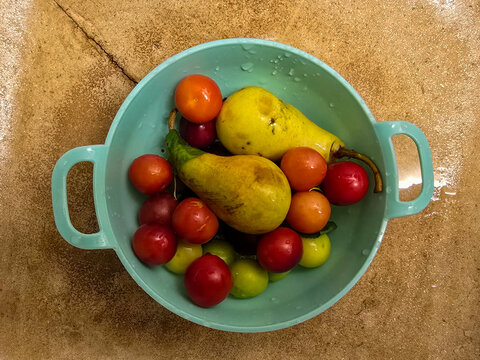 Freshly Washed Pears and Plums in Light Blue Colander