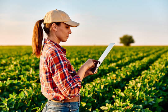 Woman farmer checking crop conditions in a soybean field, leveraging technology for modern agriculture management